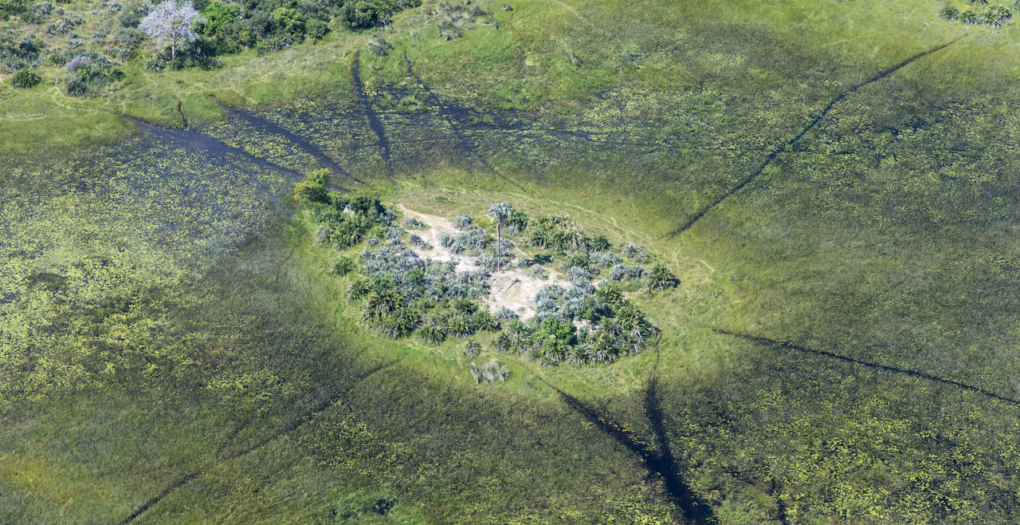 Okavango Delta, Caprivi, Vic Falls, Chobe