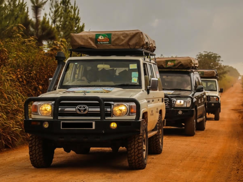 Expedition Series | Luangwa