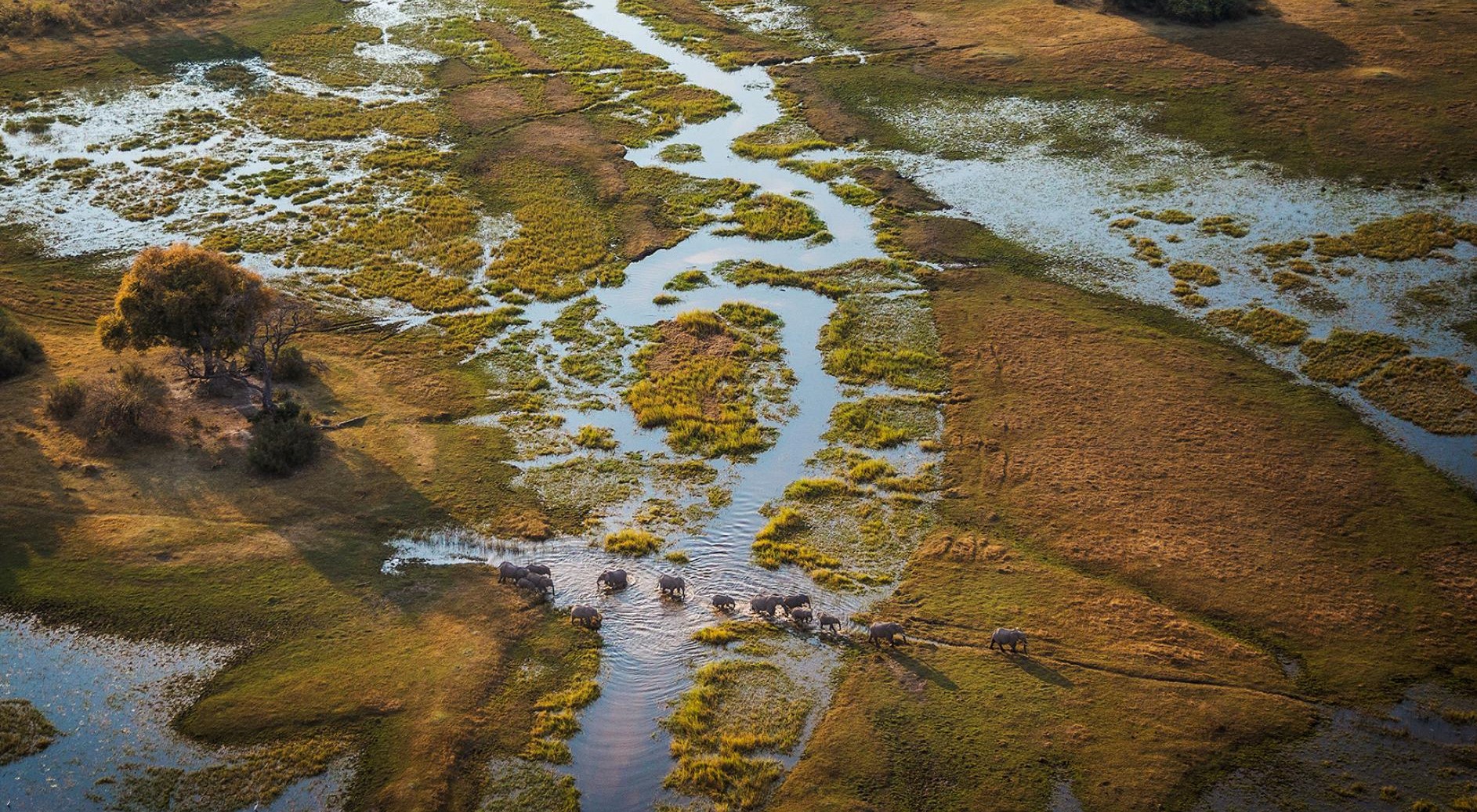 Okavango Aerial Cropped