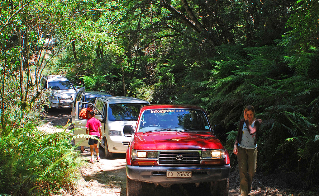 bhejane 4x4 adventure self drive guided tours tours south africa garden route knysna 1