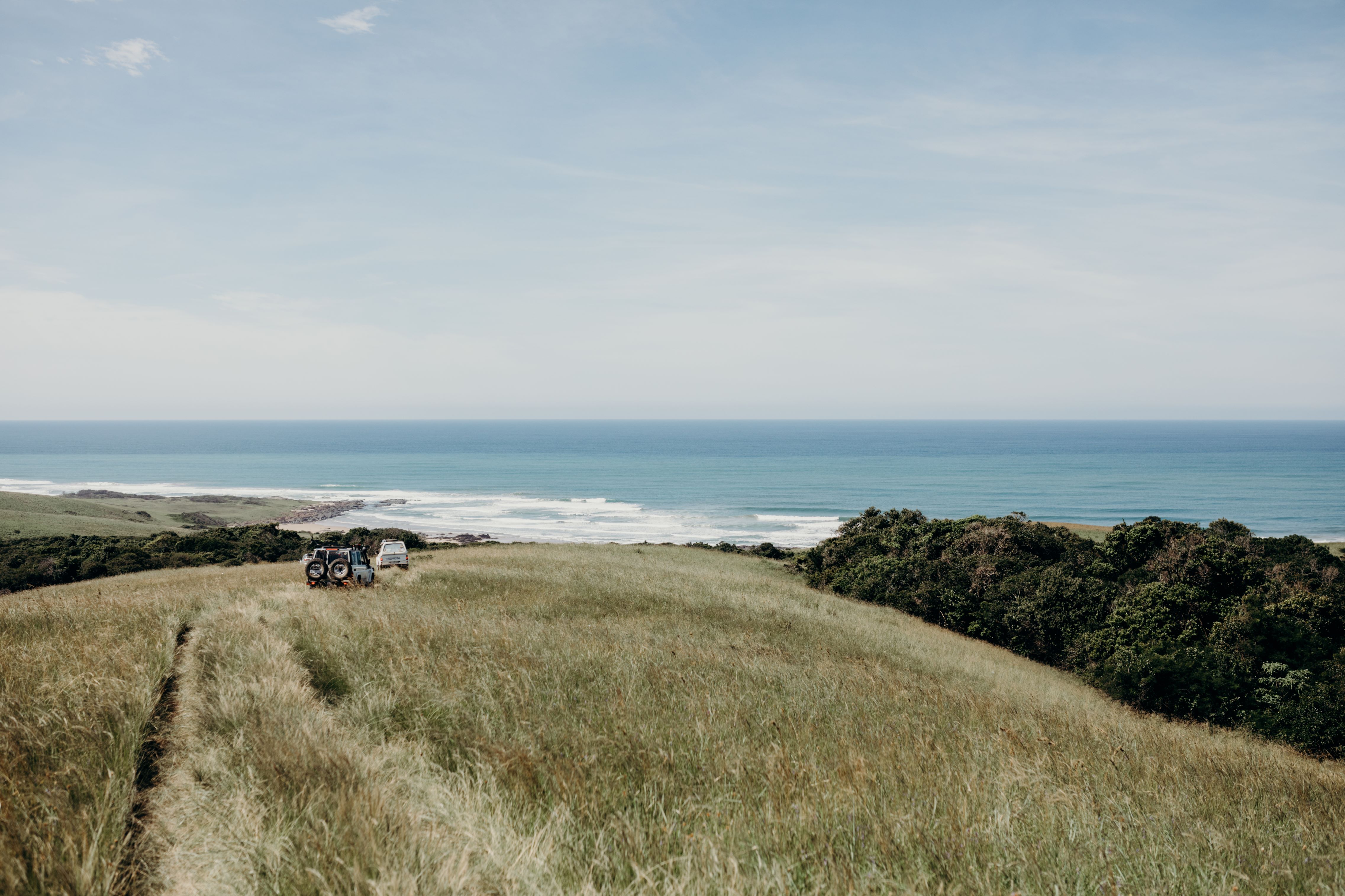 Wildcoast 2