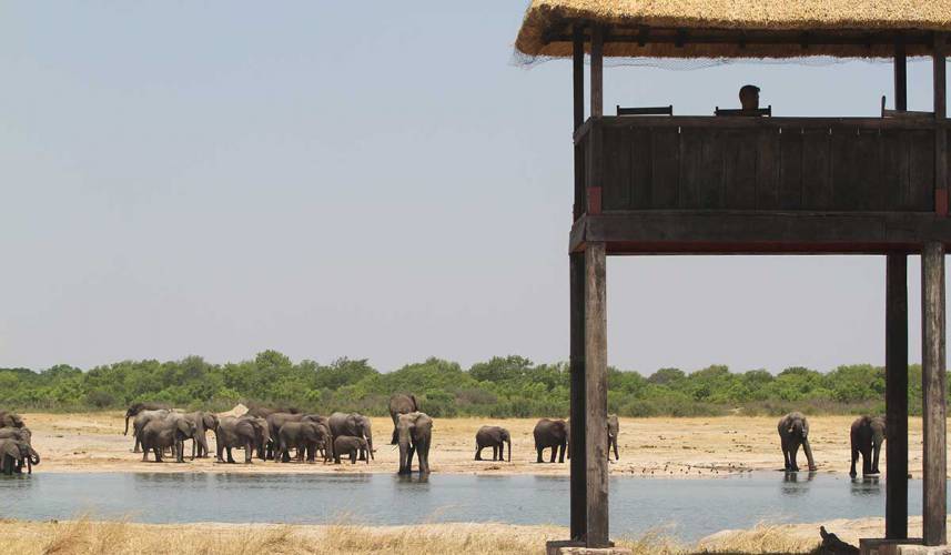 Hwange National Park Hide