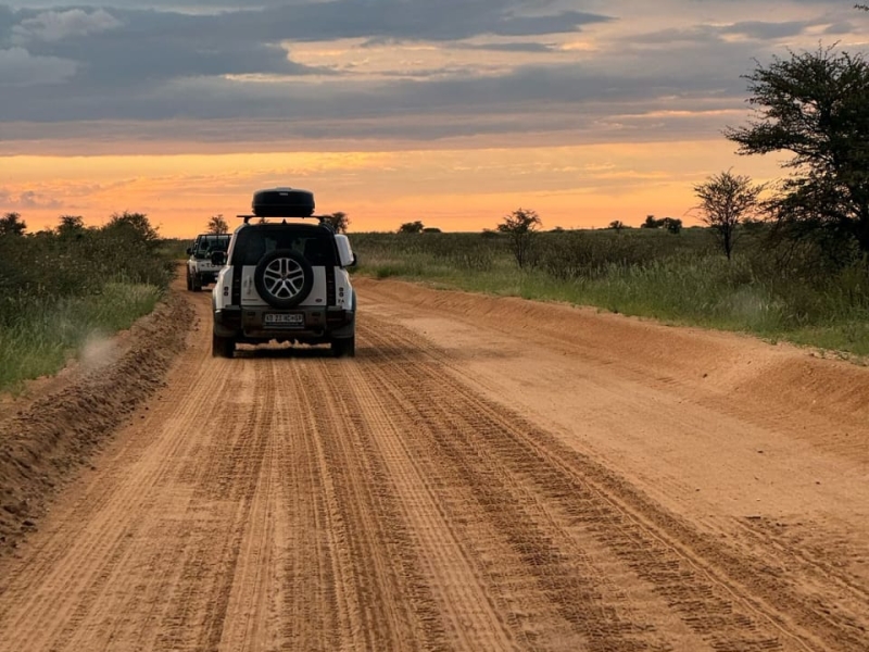 Botswana | Greater Kalahari Kgalagadi Transfrontier Park