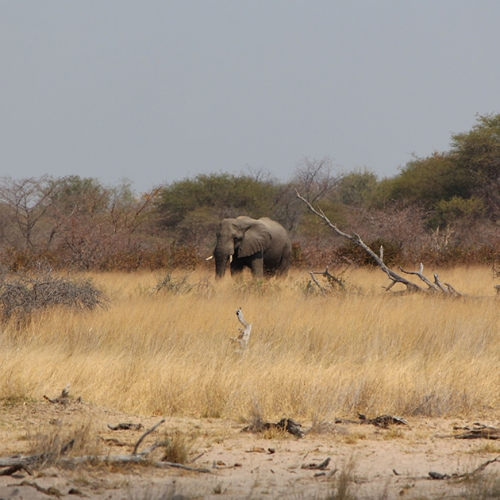 Botswana