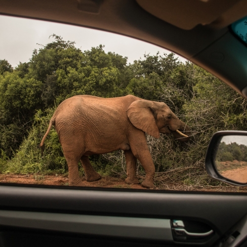 Eastern Cape
