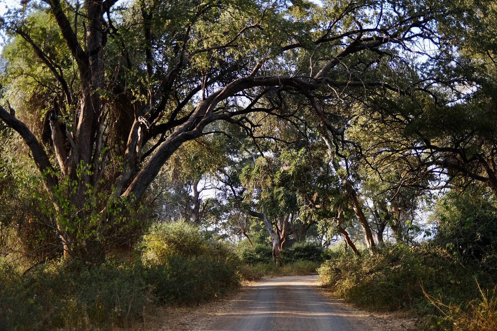 bhejane 4x4 adventure mozambique travel family holidays outdoor safari african off guided road tours south africa diving 7