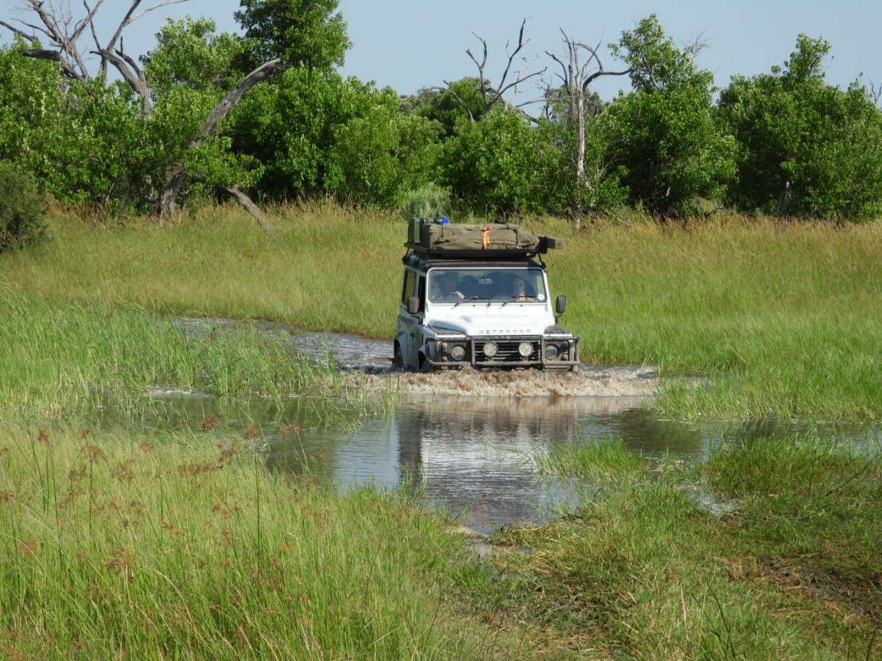 Khwai Mokorro