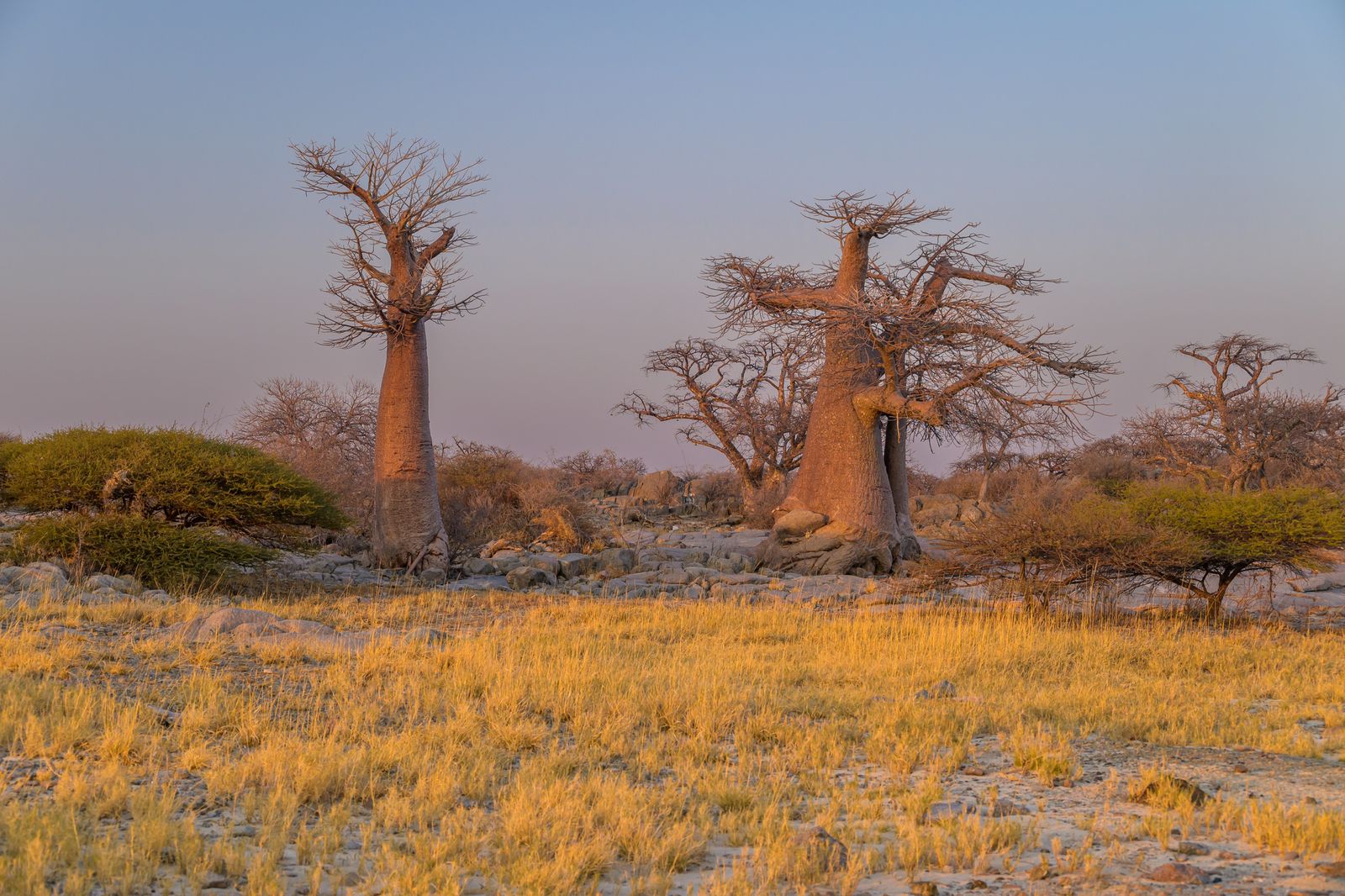 bhejane 4x4 adventure botswana travel family holidays outdoor safari african off guided road tours beyond adventures victoria falls chobe national park 6
