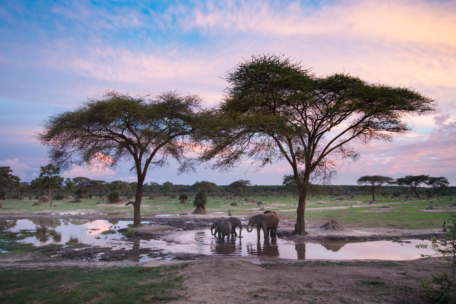 ZIMBABWE: JEWEL IN THE CROWN
